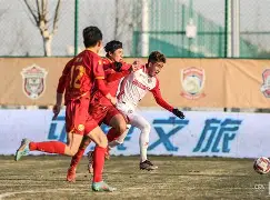 包含体坛风云人物：中超球员人气分析的词条