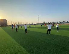 开元棋牌下载-奥地利球员说啥了